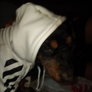 Meet your Posher, Ricky